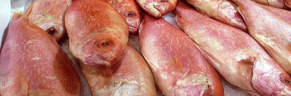 Balança comercial: importações e exportações Jan/Jul 