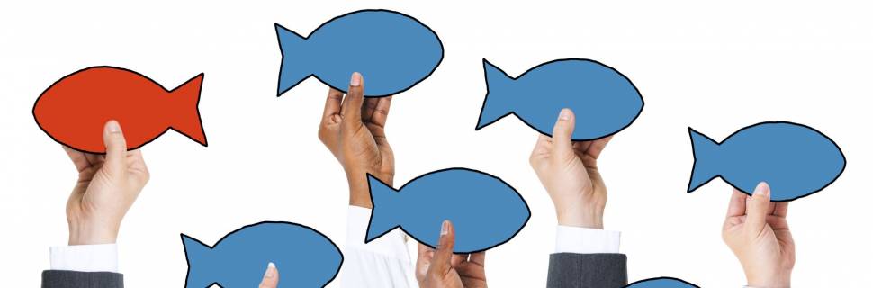 >O que as empresas de pescado podem esperar para o 2ª semestre de 2023? O que as empresas de pescado podem esperar para o 2ª semestre de 2023?