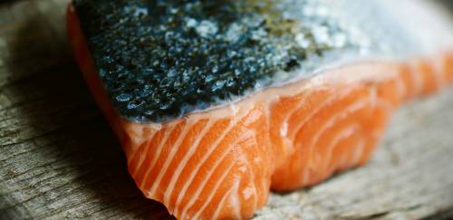 Argentina proíbe criação de salmão na Terra do Fogo