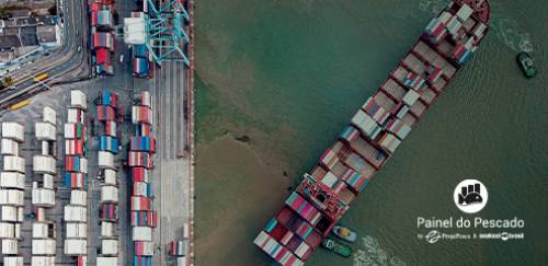 Exportação de tilápia tem queda no 1º semestre de 2023