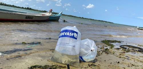 Projeto da Codevasf aposta em repovoamento e cultivo do camarão-pitu Projeto da Codevasf aposta em repovoamento e cultivo do camarão-pitu