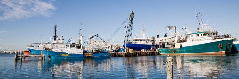 MPA passa a emitir certificado exigido pelos EUA para pescado