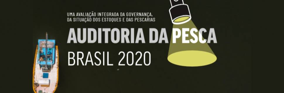 Brasil não conhece 94% dos 118 estoques pesqueiros capturados