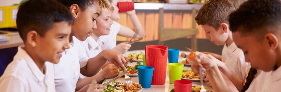 Novo acordo incentiva pescado na alimentação escolar no Brasil Novo acordo incentiva pescado na alimentação escolar no Brasil
