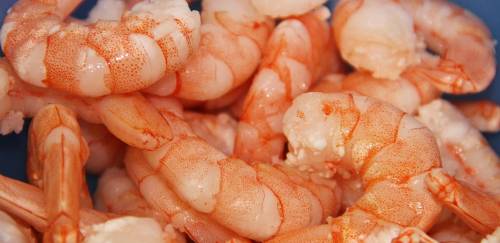 Rodada de negócios da Abrapes com argentinos falará de camarões