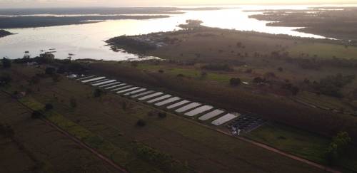 O caminho do revés: como o pedido de RJ da GeneSeas mexeu com o setor O caminho do revés: como o pedido de RJ da GeneSeas mexeu com o setor