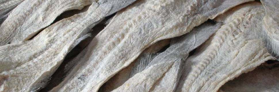 Relatório apresenta tendências sobre o consumo de frutos do mar 
