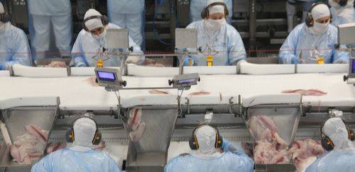 Na esteira por novas marés em 2026