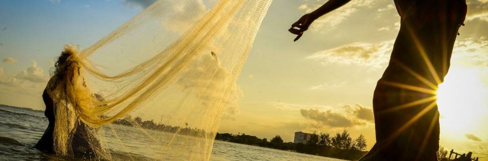 Conheça as organizações que irão compor o CONAPE