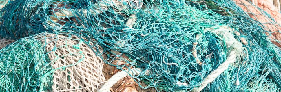 MMA traz de volta Portaria 445 e revoga CONSERVA+