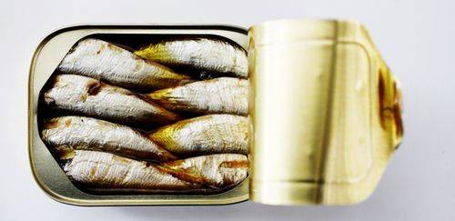 O impacto no Brasil sobre o bloqueio do Marrocos da sardinha congelada