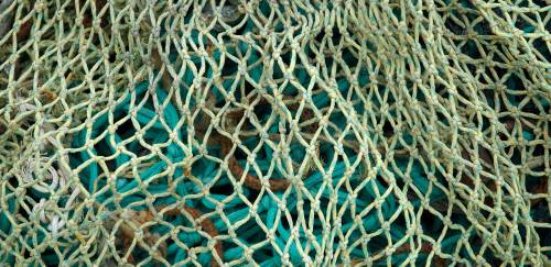 MPA anuncia encerramento da pesca de tainha de emalhe anilhado