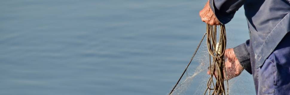 Novo app do IP-APTA facilita trabalho de monitoramento pesqueiro em SP