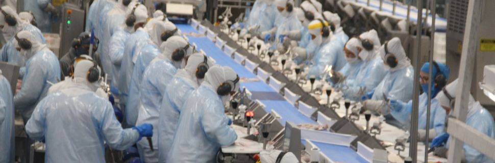 Reformas progredindo: DIPOA flexibiliza contêineres e fluxo temporário Reformas progredindo: DIPOA flexibiliza contêineres e fluxo temporário