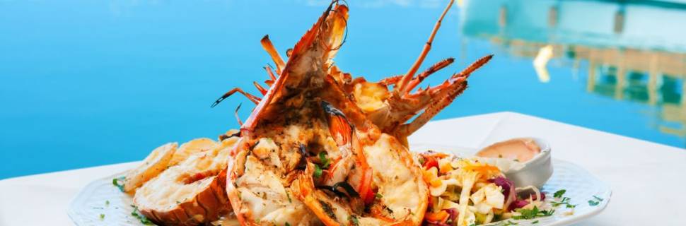 Criado GT para regulamentar pesca de lagosta por mergulho no Brasil