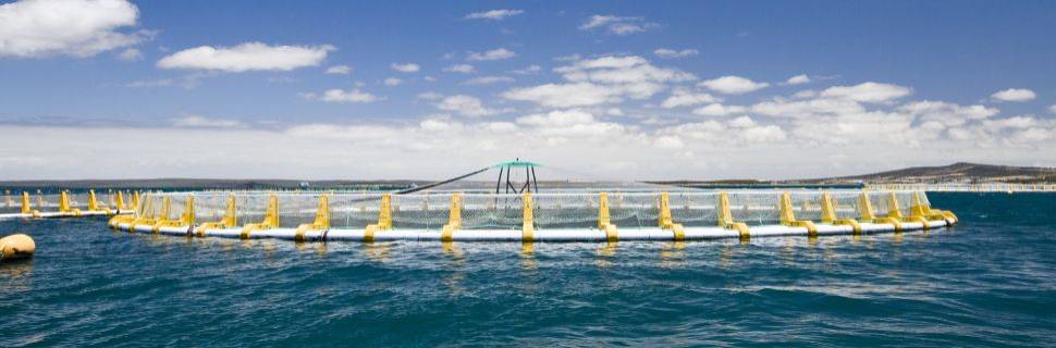 Os destaques do Boletim da Aquicultura em Águas da União 2023