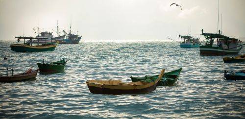 O papel da pesca em SC como pilar econômico e cultural no Brasil O papel da pesca em SC como pilar econômico e cultural no Brasil