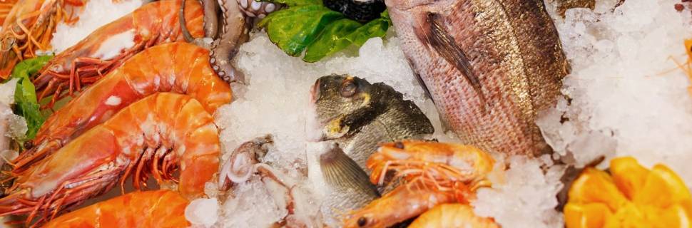Apex-Brasil abre inscrições para rodada de exportação de pescado