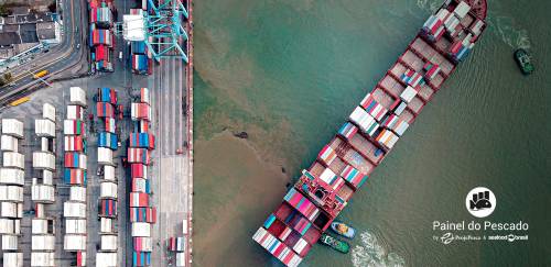 Receita de exportação de pescado brasileiro salta 7,57% em outubro