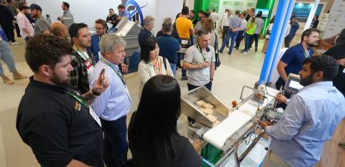 IFC 2023 se prepara para encontro da cadeia do pescado no Brasil