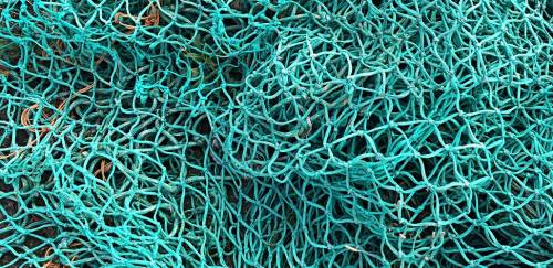 Retorno da pesca de arrasto ao RS deverá acontecer no final de março