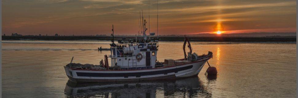 Plataforma Nacional da Indústria do Pescado é oficialmente lançada