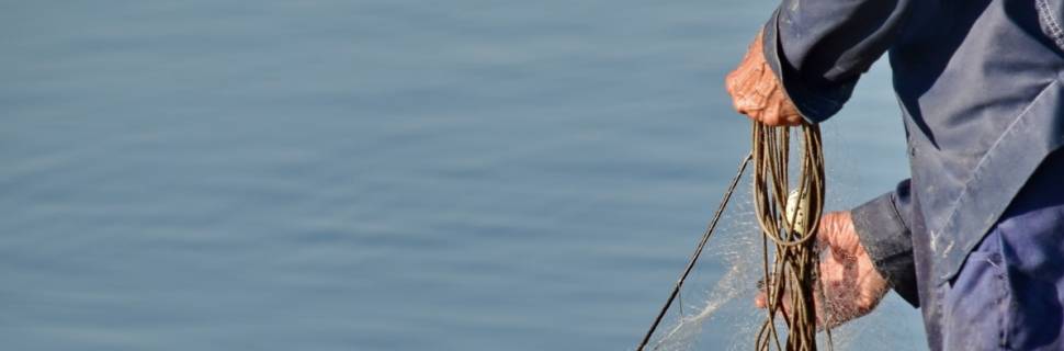 Pesca e aquicultura têm importância para a segurança alimentar global