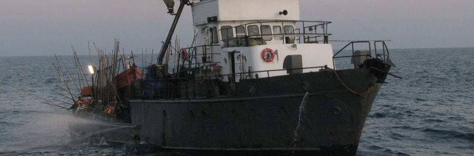 Certificações e selos de produção sustentável 