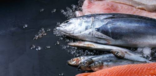 Tecnologia aliada na rastreabilidade dos estoques e sustentabilidade