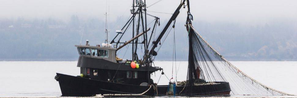 Entre avanços e retrocessos, a pesca precisa de uma nova lei 