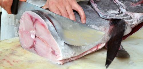 China suspende exportação de frigorífico de pescado brasileiro China suspende exportação de frigorífico de pescado brasileiro