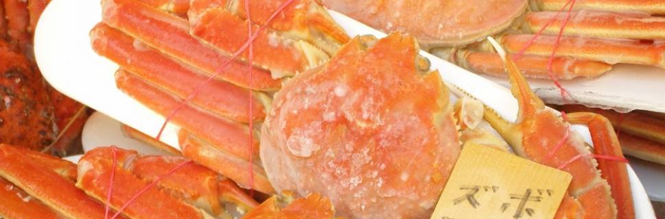 Como o Coronavírus tem causado impacto no mercado de pescado