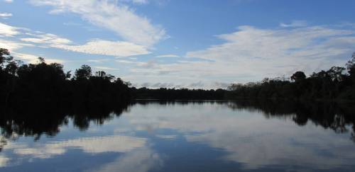 Conservação da Amazônia poderia priorizar a biodiversidade aquática 