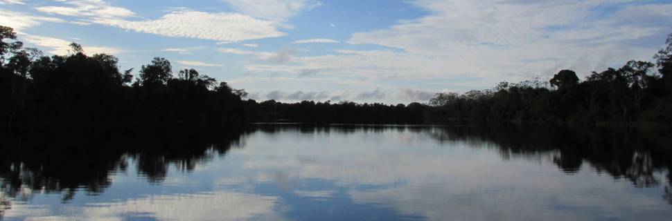 Conservação da Amazônia poderia priorizar a biodiversidade aquática 