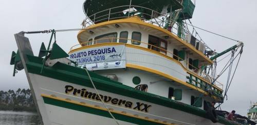 Considerações sobre a safra da tainha em 2018