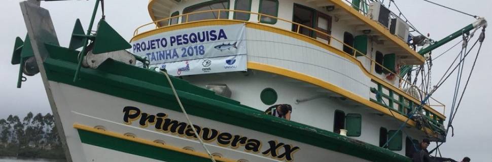 Considerações sobre a safra da tainha em 2018