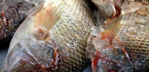 Coronavírus afeta performance de vendas na Semana Santa