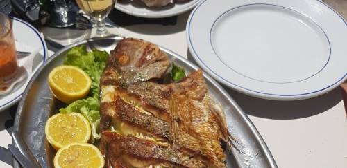 Cortes na própria carne: desafios e oportunidades no pescado e food