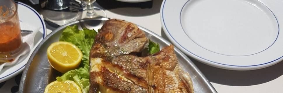 Cortes na própria carne: desafios e oportunidades no pescado e food