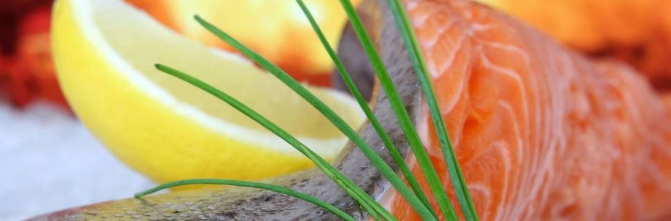 >Empresa de salmão transgênico anuncia liberação de venda ao Brasil Empresa de salmão transgênico anuncia liberação de venda ao Brasil