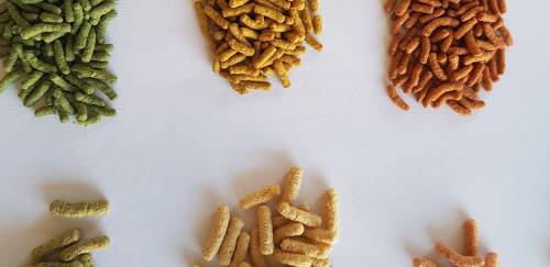 Rações: equilíbrio entre performance e preço na aquicultura Rações: equilíbrio entre performance e preço na aquicultura