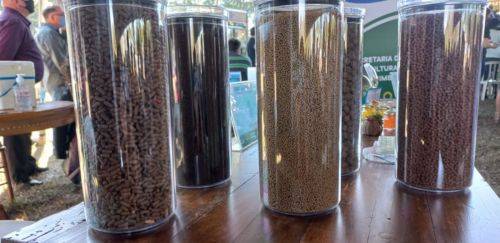 Sindirações divulga resultado do 1º semestre de 2024 da aquicultura Sindirações divulga resultado do 1º semestre de 2024 da aquicultura