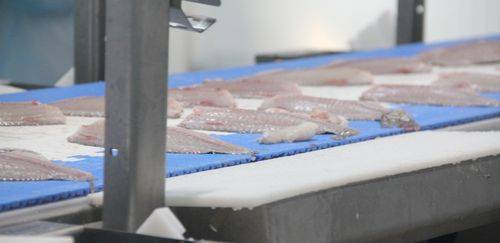 PeixeBR pede suspensão da tilápia do Vietnã e revisão de ICMS em SP