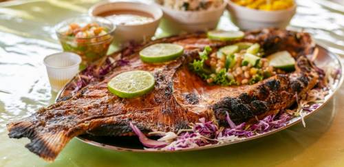 Com alta retenção, programas de certificação GSA cresceram 18% em 2023