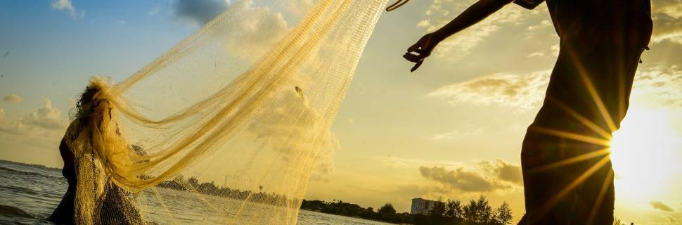 A importância das épocas de defeso e tamanho mínimo de captura