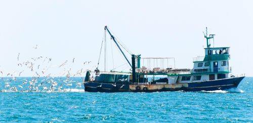 China abre mercado para pesca brasileira artesanal e industrial China abre mercado para pesca brasileira artesanal e industrial