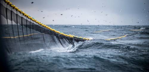  Panorama de produção e consumo de pescado no Estado do Rio de Janeiro