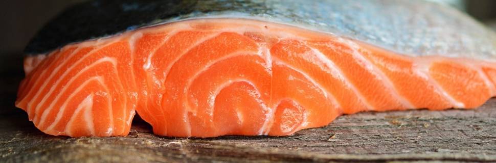 Camanchaca perde mais de 160 mil salmões por proliferação de algas