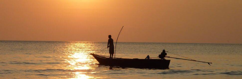 Recursos e desenvolvimento do setor pesqueiro: a 43ª reunião do CONAPE