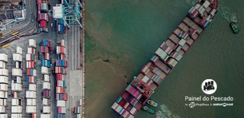 Brasil amplia em quase 60X receita com exportação de polvo no 1º tri